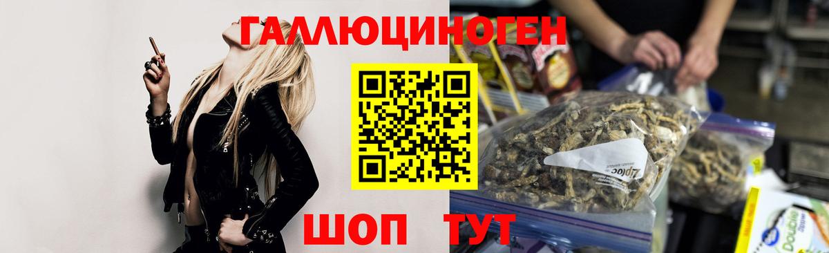 Долгопрудный  Псилоцибиновые грибы прущие грибы  Вход с VPN 